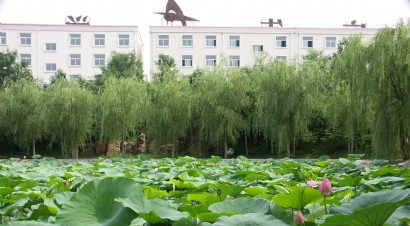 �DƬ���Q��У�@�ɻ���
��&nbsp;&nbsp;&nbsp;&nbsp;�ߣ�����
���r�g��2011/11/8 17:45:41